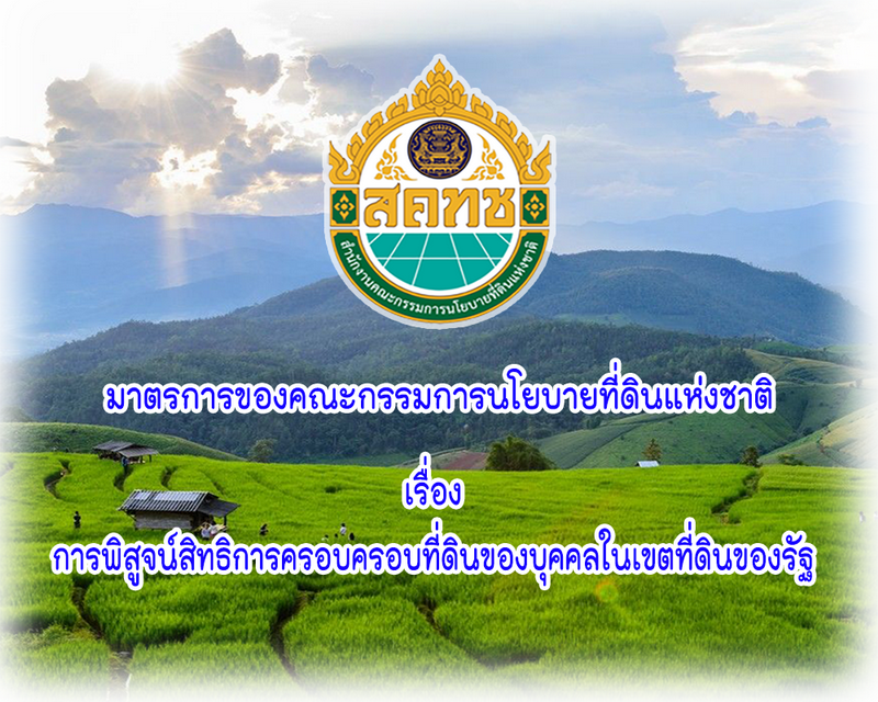 สีขาว สีส้ม สนุกสนาน เรียบง่าย รับสมัครงาน 